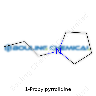 1-Propylpyrrolidine