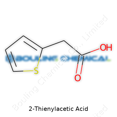 2-Thienylacetic Acid