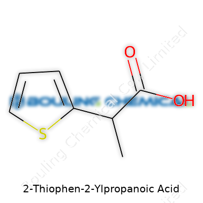 2-Thiophen-2-Ylpropanoic Acid
