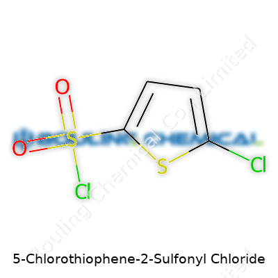 5-Chlorothiophene-2-Sulfonyl Chloride
