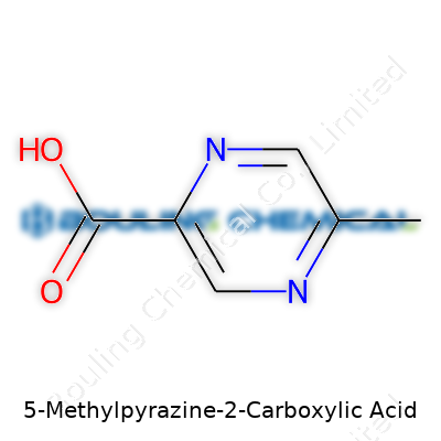 5-Methylpyrazine-2-Carboxylic Acid