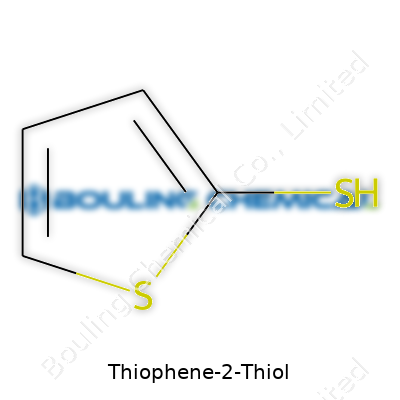 Thiophene-2-Thiol